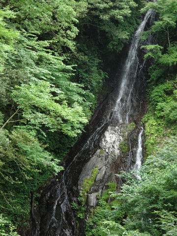 大沢の滝.JPG