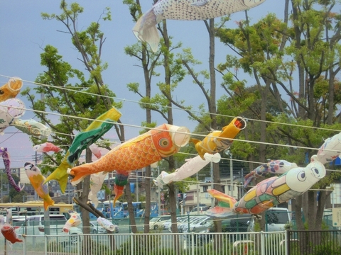 鯉のぼり１.jpg